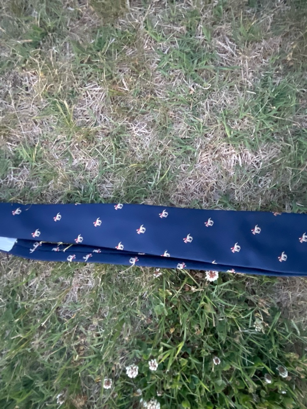 Navy Men’s Tie with Small polo Motif pride of England